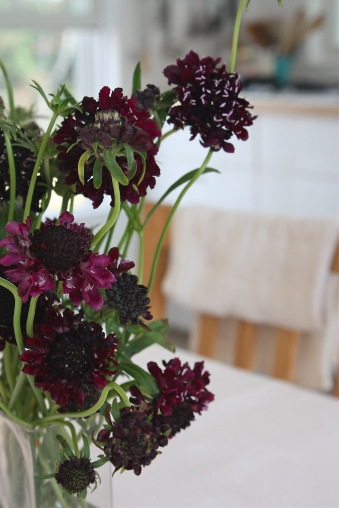 Sheila's flowers Justine Flickr