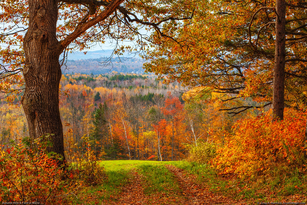 Autumn Hills & Field The autumn landscape in north central… Flickr