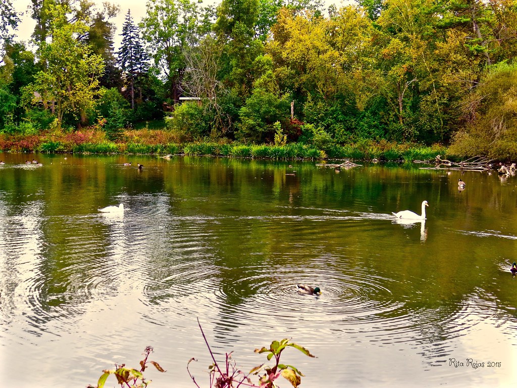 Mill Pond Richmond Hill Flickr