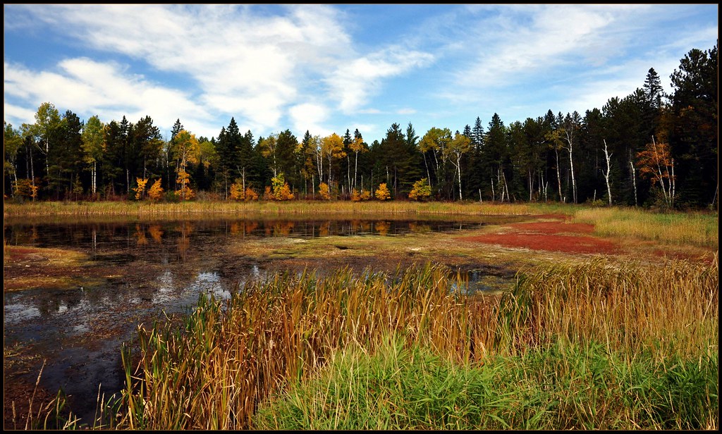 The Northwoods One of the many beautiful views off Hwy 1 o… Flickr