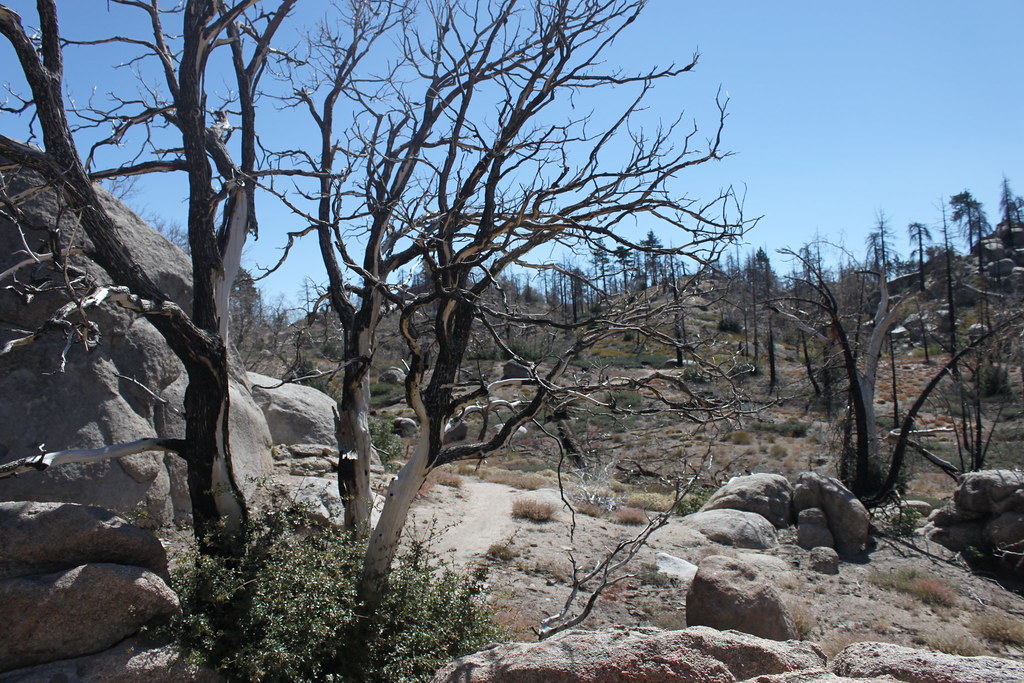 hiking the hanna flat trail big bear lake Kristen Pumphrey Flickr