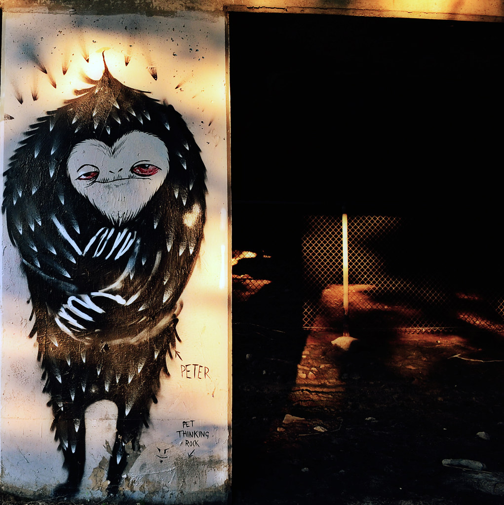 Peter and his pet thinking rock Henry Farm North York Flickr