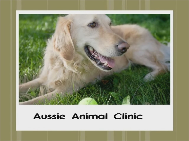 Aussie Animal Clinic Hospital Cutler Bay Veterinarian 3315… Flickr