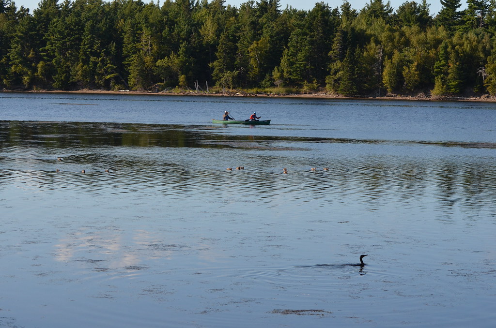 Kouchibouguac National Park Kouchibouguac National Park Flickr