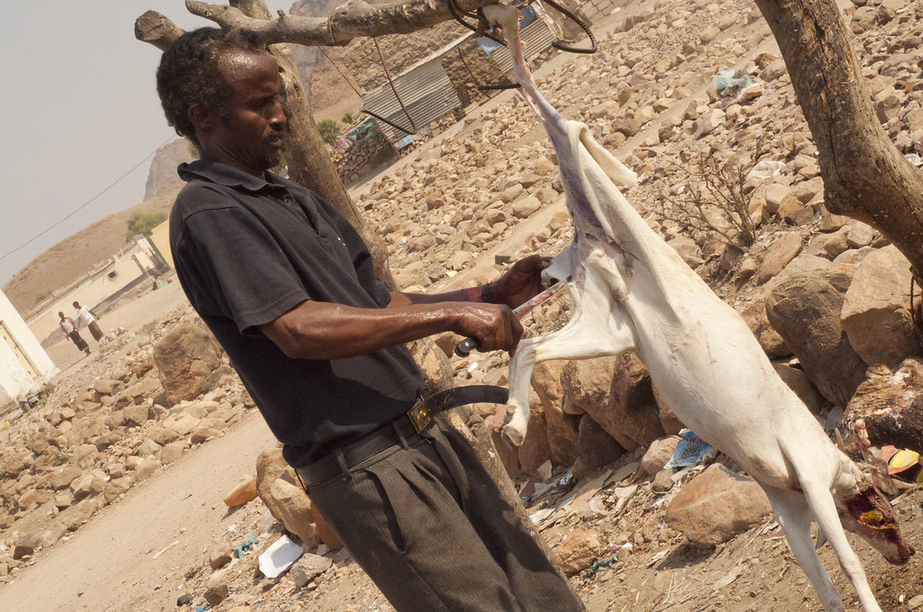Skinning goat A man skins a freshly butchered goat in Ali … Flickr