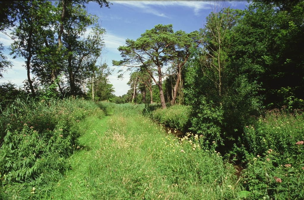Chippenham Fen Ride with Phragmites Chippenham Fen And Sna… Flickr