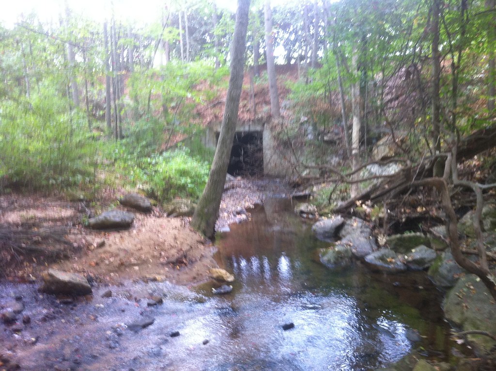 Roswell Road Bridge David Muse Flickr