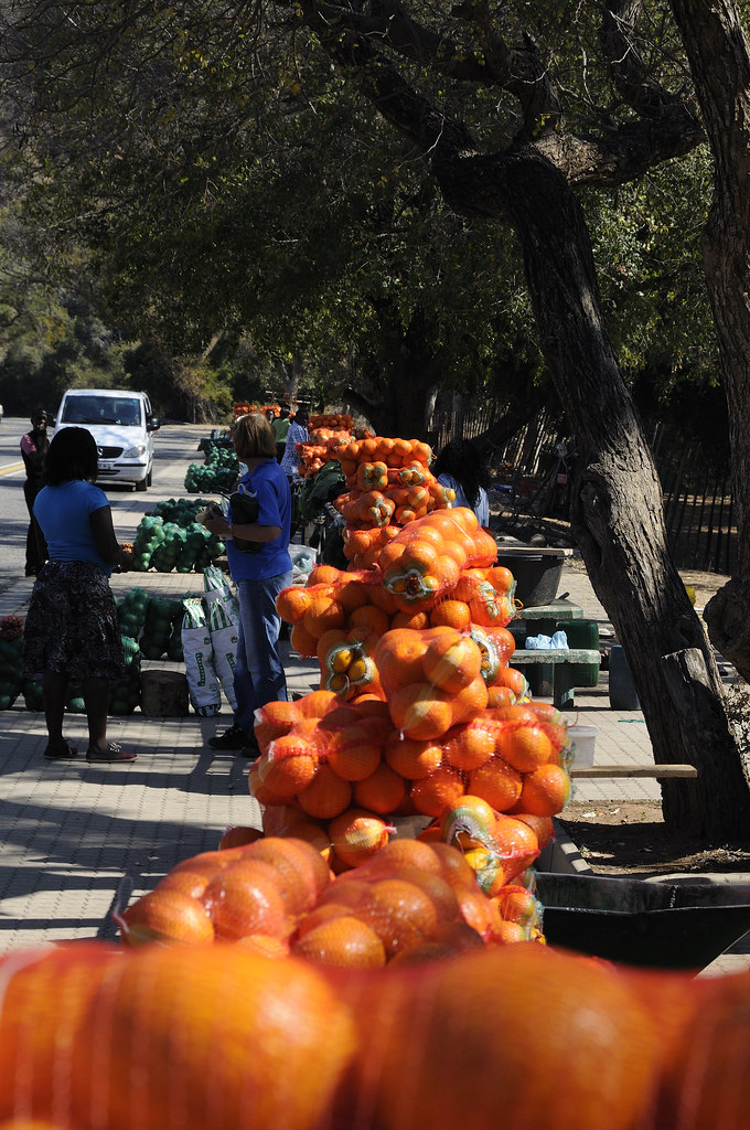N1 roadside fruit vendors Limpopo Province Taken at Lati… Flickr