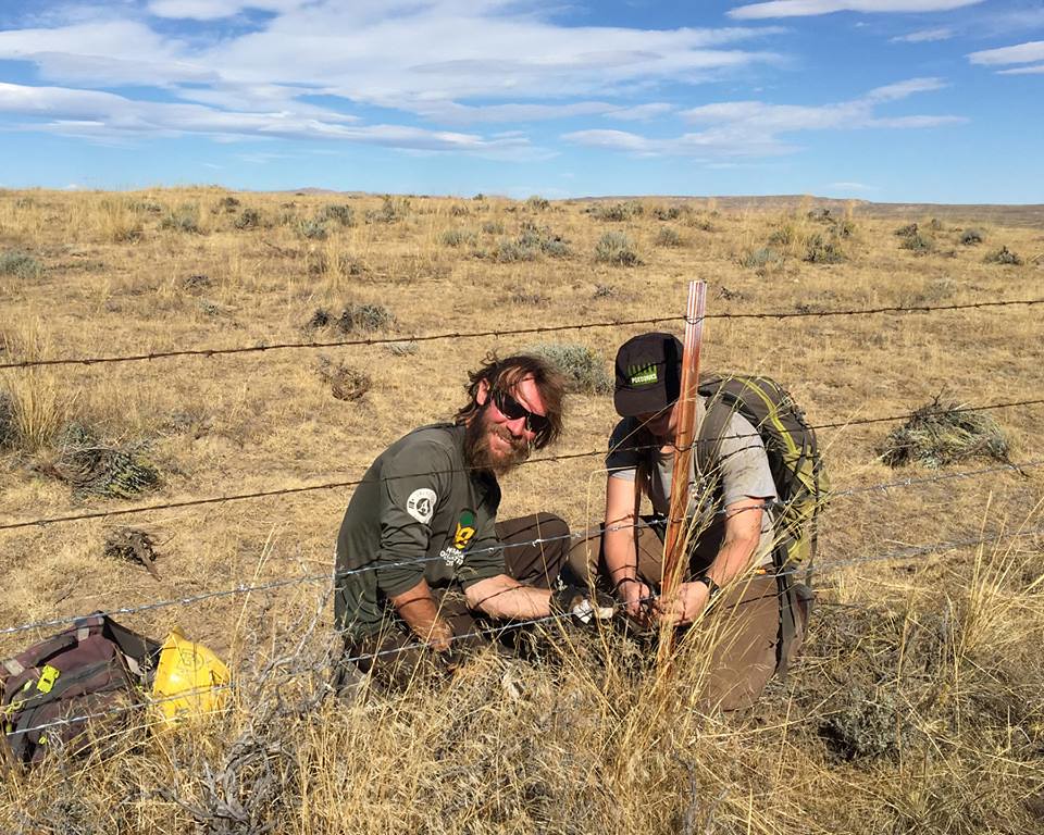 NPLD 2015 BLM Wyoming Help Wildlife The BLM Wyoming Cody … Flickr