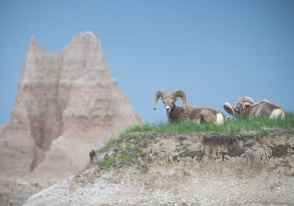Valentine NE to Deadwood SD, June 15 Flickr