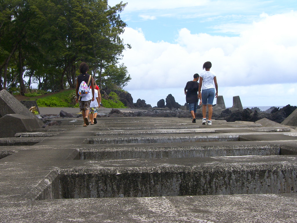 Ashwin, Jake, Jace & Haydien 2009 Laupahoehoe Harbor dLiteDaily
