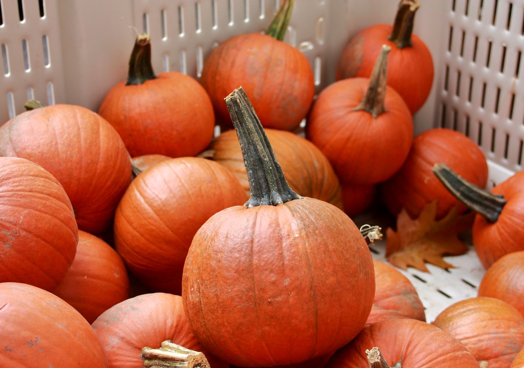 Woodstock Orchards 13 Woodstock Orchards Woodstock, CT www… Flickr