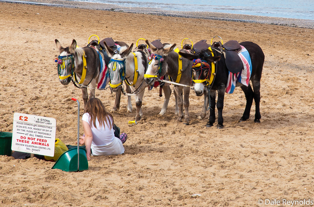 Donkey rides on Cleethorpes beach Dale Reynolds Flickr
