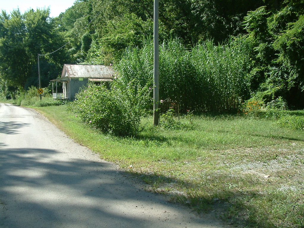 Wittenberg, Missouri...Ghost Town 7 Wittenberg was a thriv… Flickr