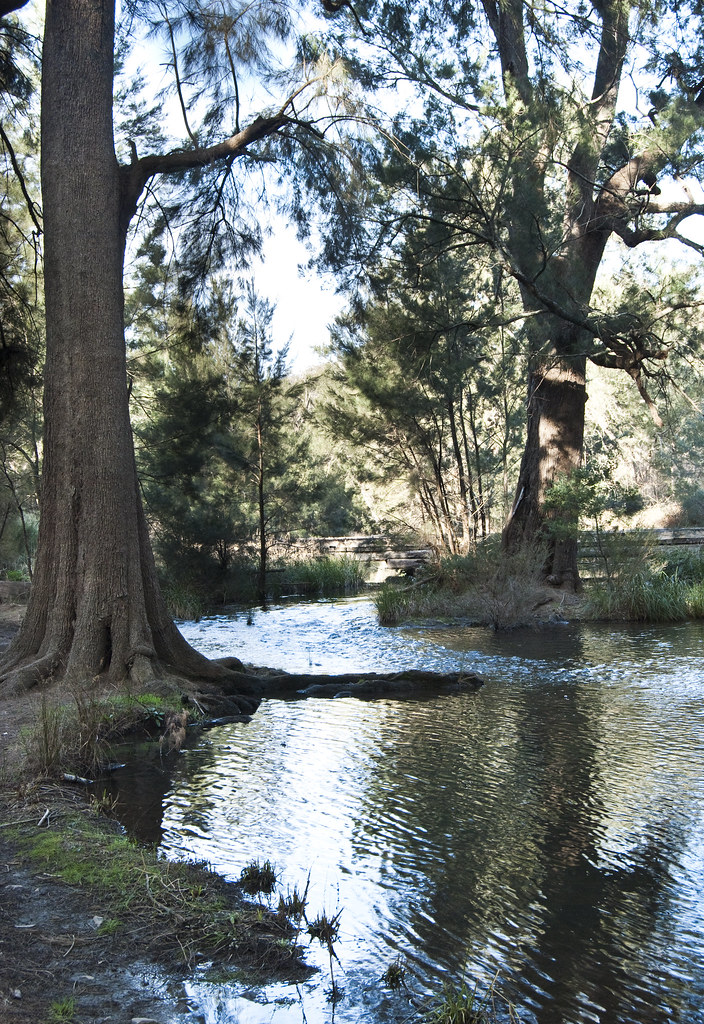 Abercrombie National Park On the river at Abercrombie Nati… Flickr