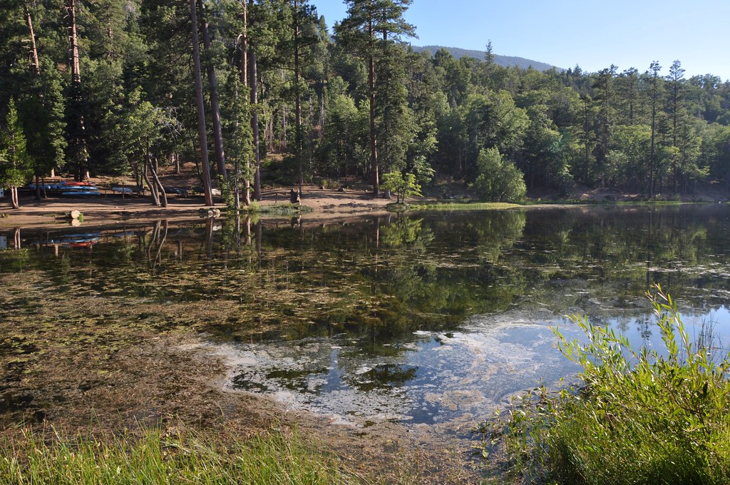 2011 08 21 Jenks Lake, Barton Flats, CA 061 Doug Carlson Flickr