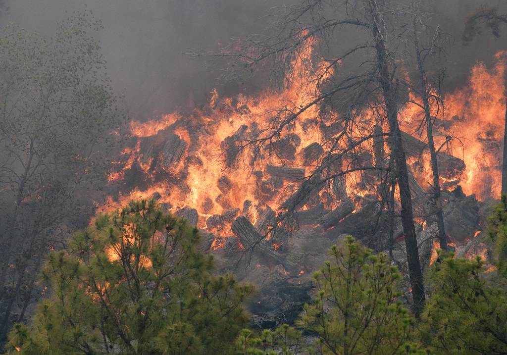BASTROP FIRE_2011 BASTROP, Texas Fire damage is seen in … Flickr