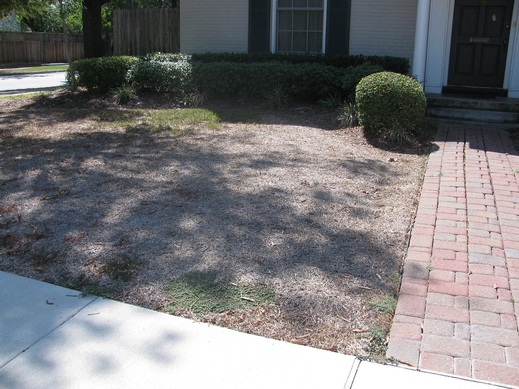 Dryden lawn 009 jcooper711 Flickr