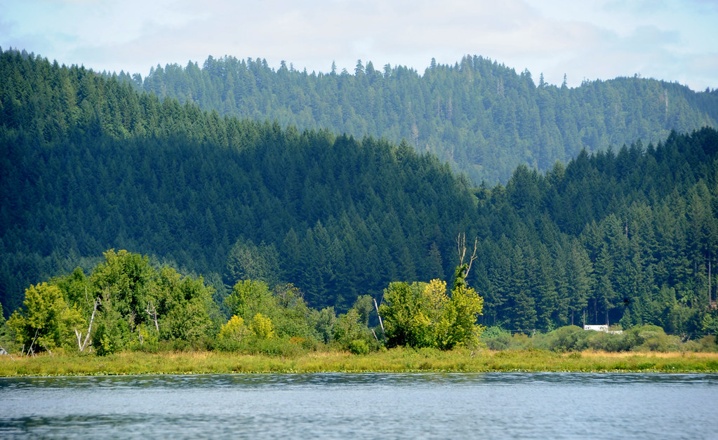 0743 08/09/11 Triangle Lake, Oregon qfocal Flickr