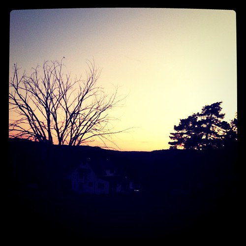 Elevation of Riceville Rd, Machias, NY, USA Topographic Map