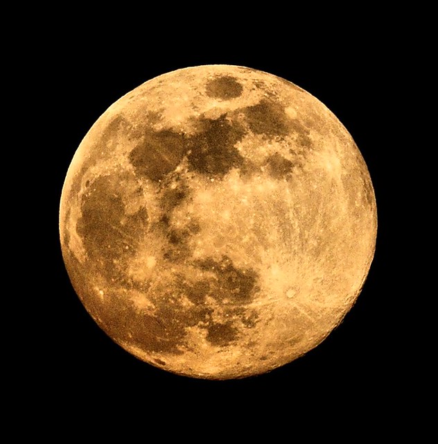 Moon at Sunset Quick shot of the moon tonight, handheld wi… Flickr