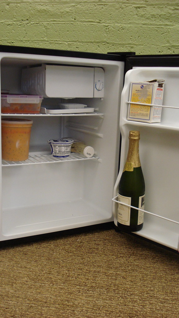 Mini Fridge Flickr