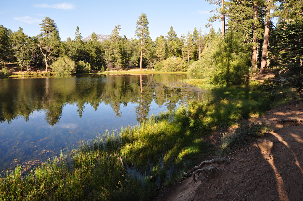 2011 08 21 Jenks Lake, Barton Flats, CA 103 Doug Carlson Flickr