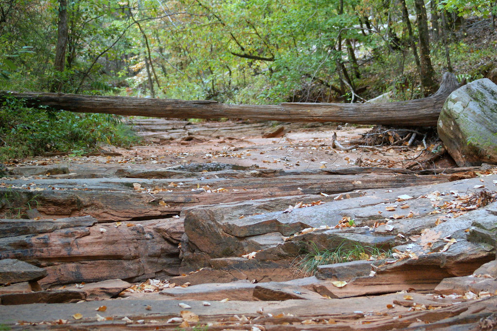 Dry Creek Bed Stevens Creek Trail; McCormick County, SC Tr… Flickr