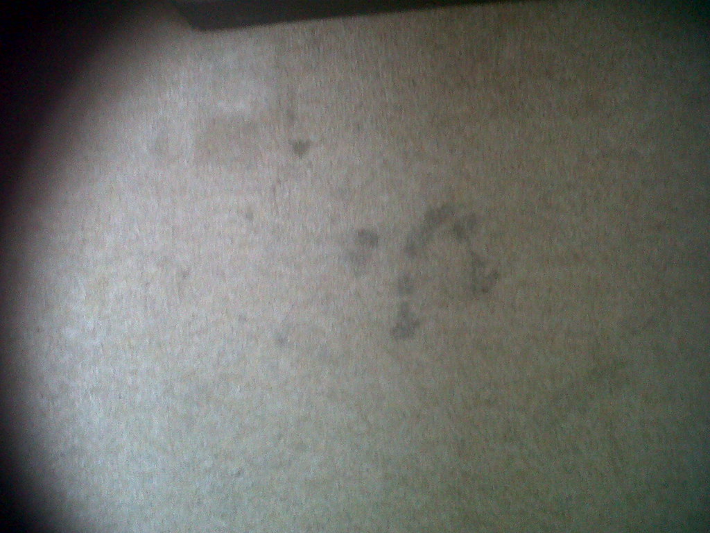 more marks on bedroom carpet bedroom carpet was badly stai… Flickr