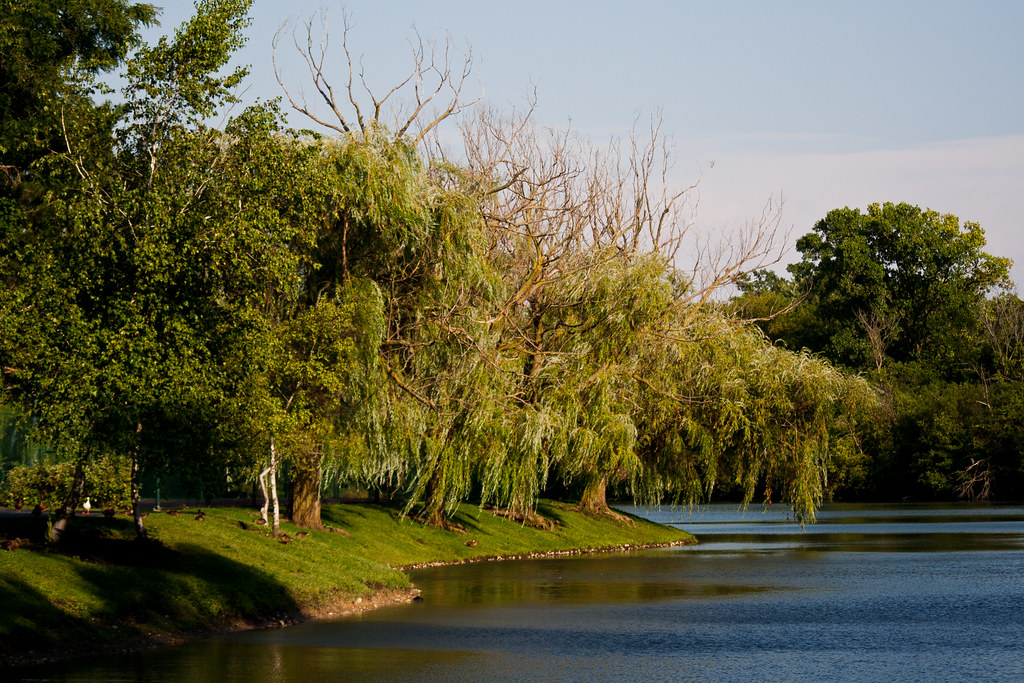 Woodland Creek Woodland Creek Wheeling, IL Greg Nelson Flickr