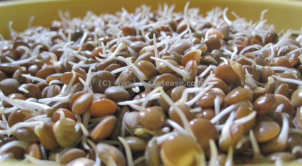 Sprouted Masoor Dal (Red Lentils) Recipe for this dish is … Flickr