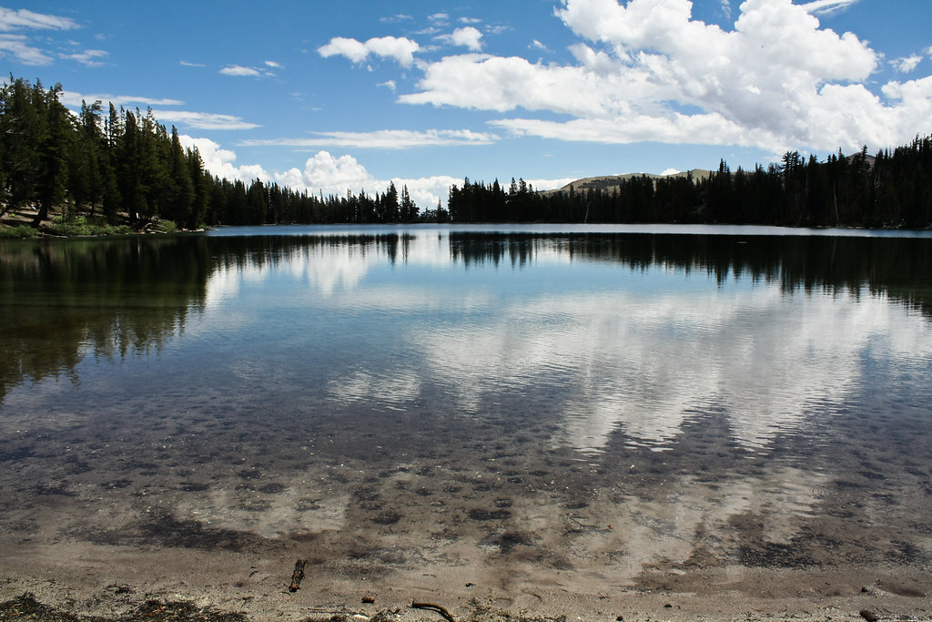 340/365 lake mcleod Justin and I went out to breakfast t… Flickr