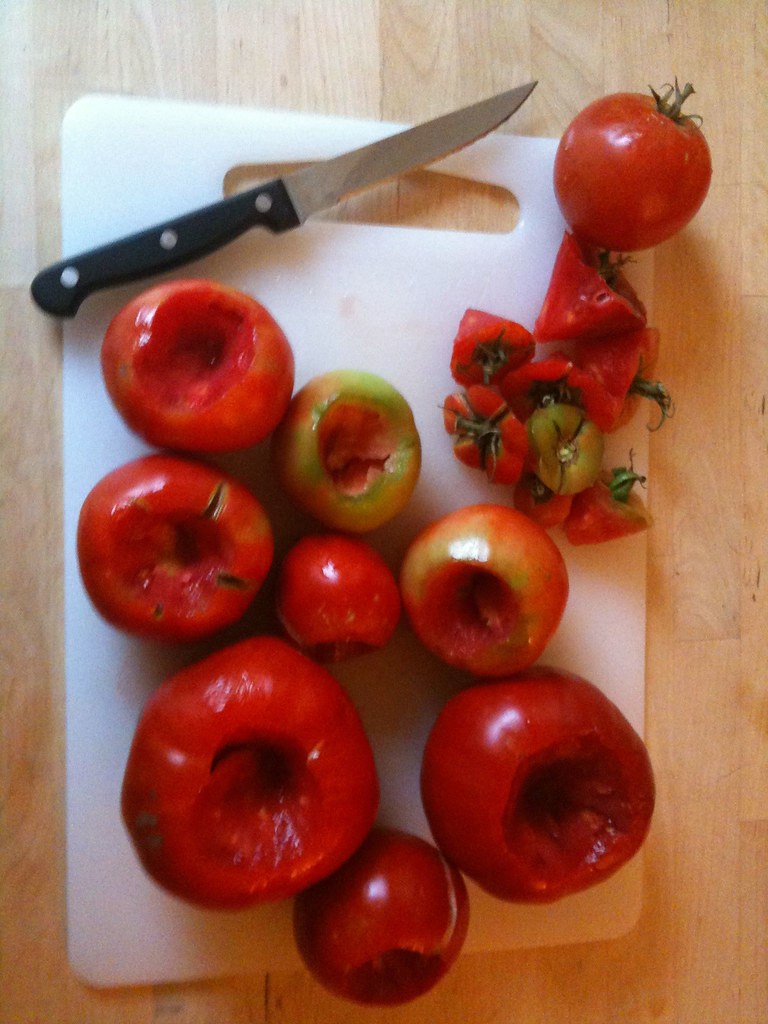 The cored tomatoes jstheater Flickr