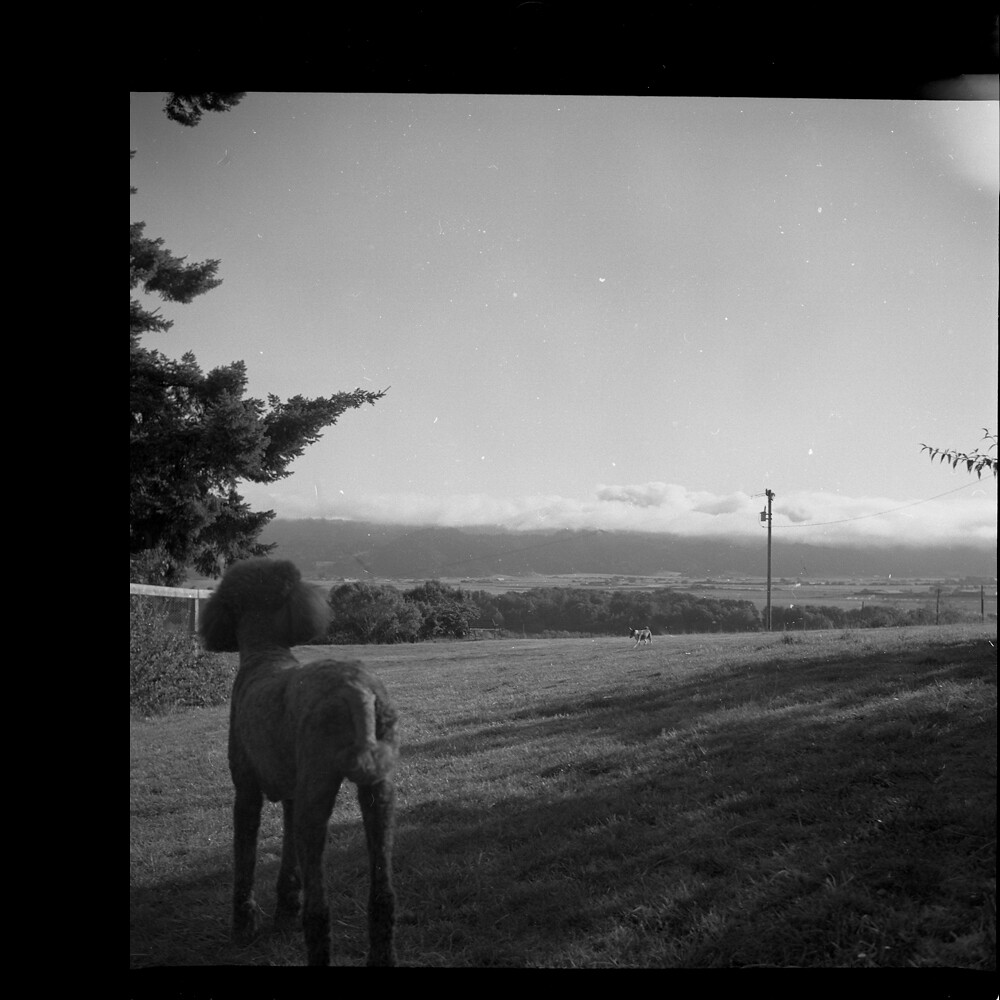 Elevation of Eel River Dr, Loleta, CA, USA Topographic Map Altitude Map