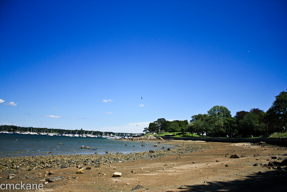 untitled8.jpg Cee McKane Flickr