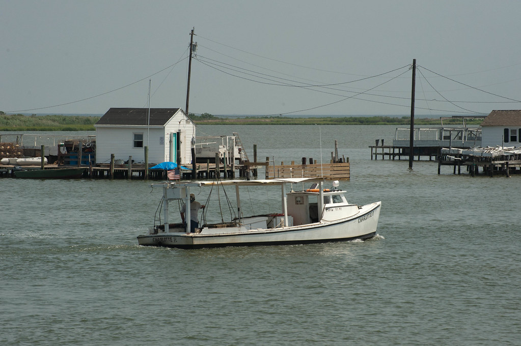 Tangier Island 2011 Tangier Island Virginia Lostinlimbo58 Flickr