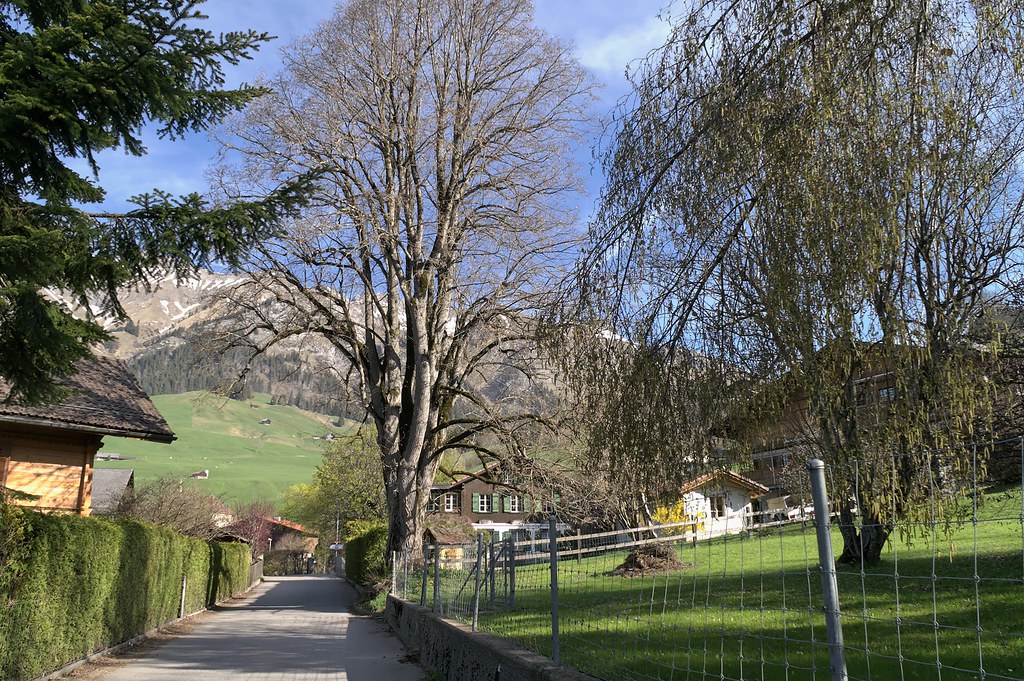 2009.04.24 Château d'Oex Praz Jean Flickr