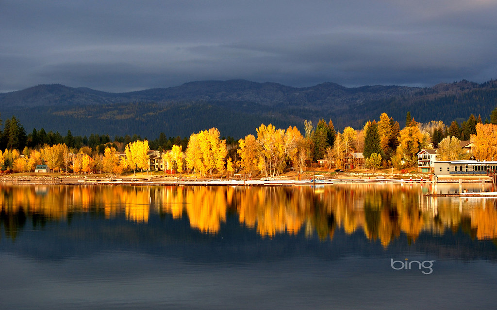 Shore of Payette Lake near McCall, Idaho Shore of Payette … Flickr