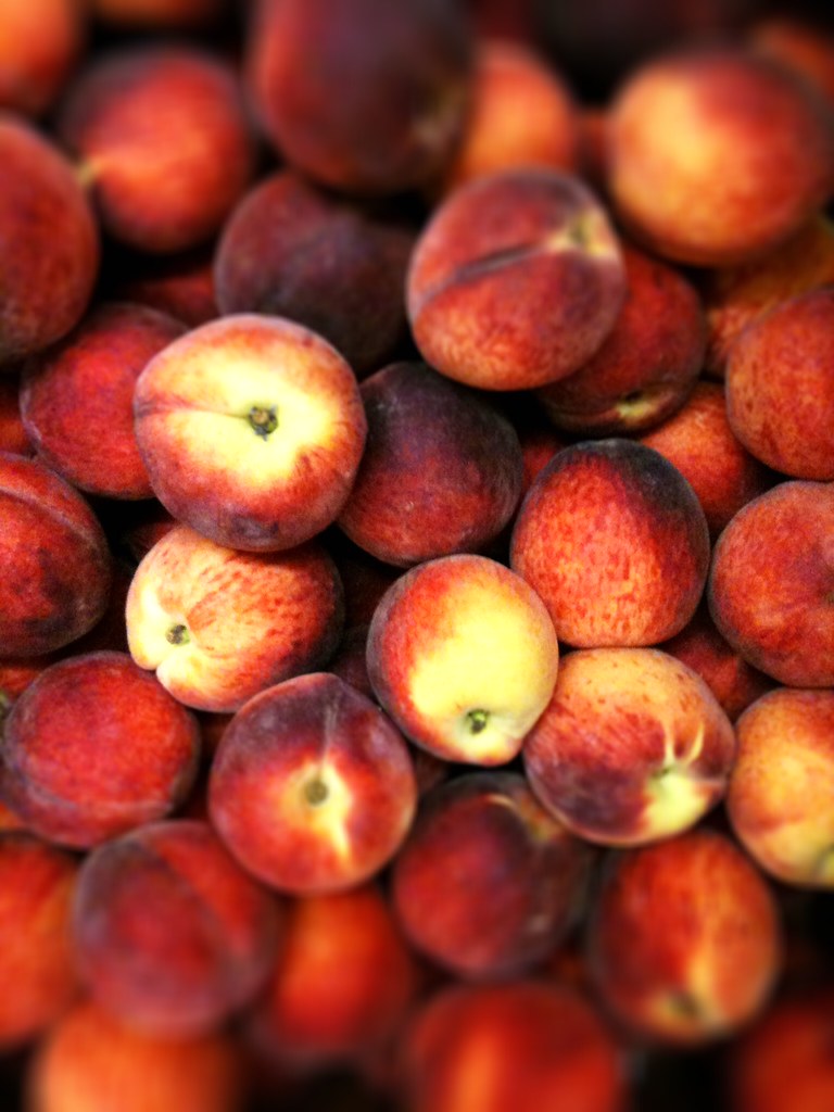 Peaches Taken at Squash Valley Produce, Waterbury, Vermont… Squash