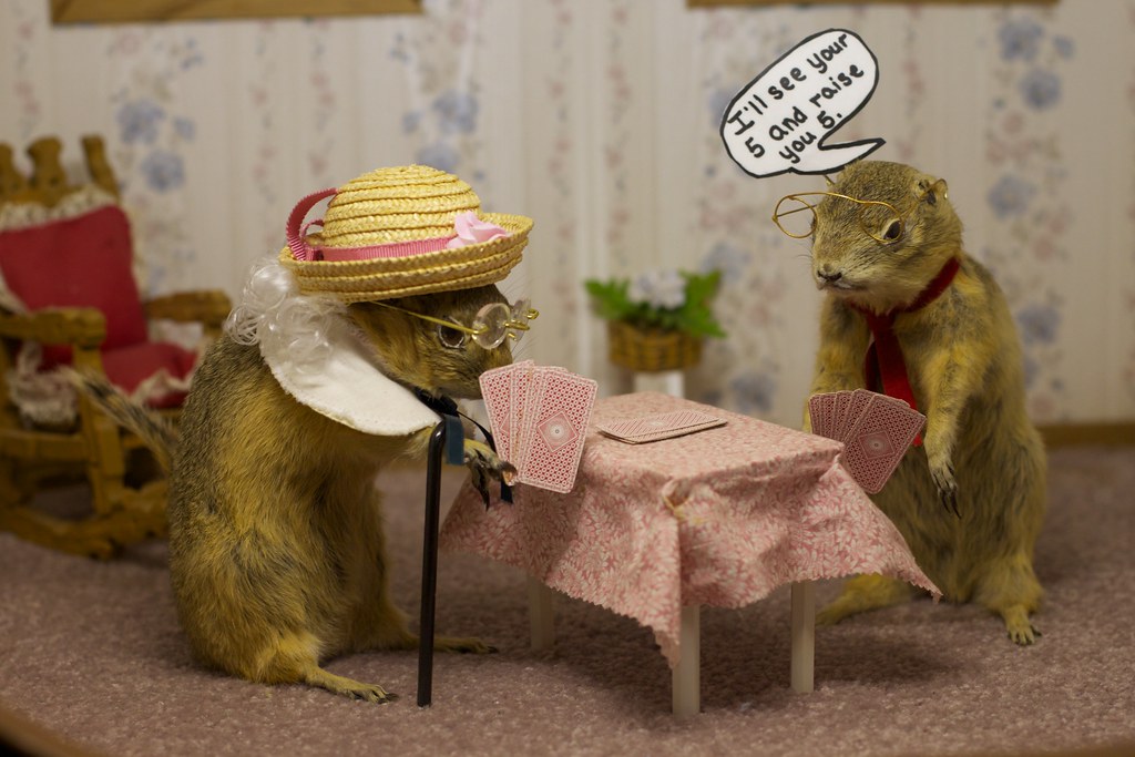 2011/365/223 Gopher Hold 'Em Gopher Hole Museum Torrington… Flickr