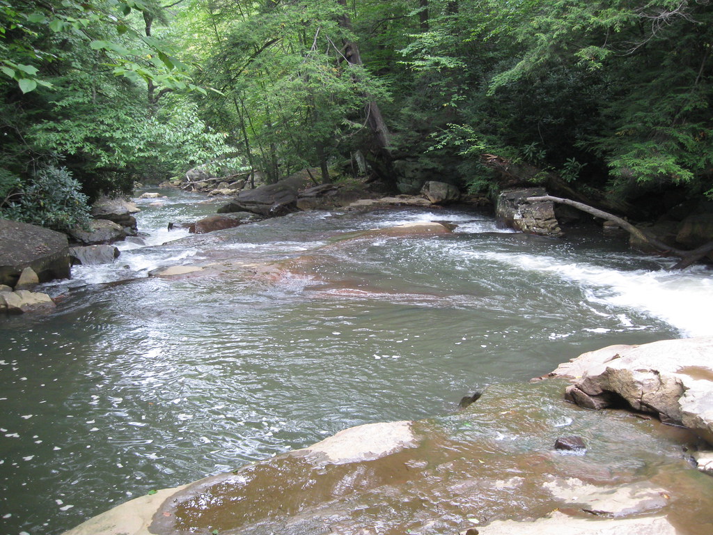 Deckers Creek Trail WV cgulker Flickr