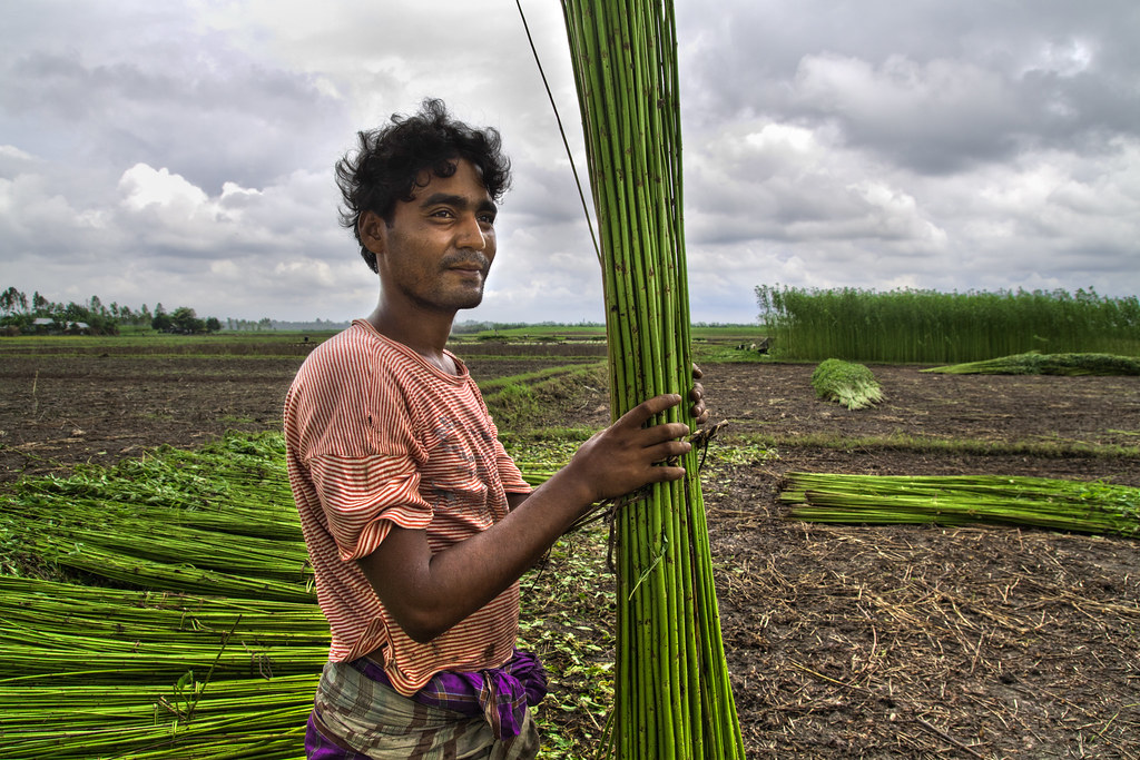 The Jute people I Taken at Natore, Bangladesh 2011 website… Flickr