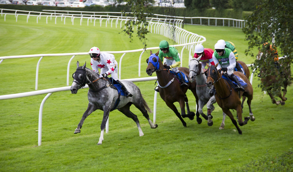 Market rasen race Dick Dixon Flickr