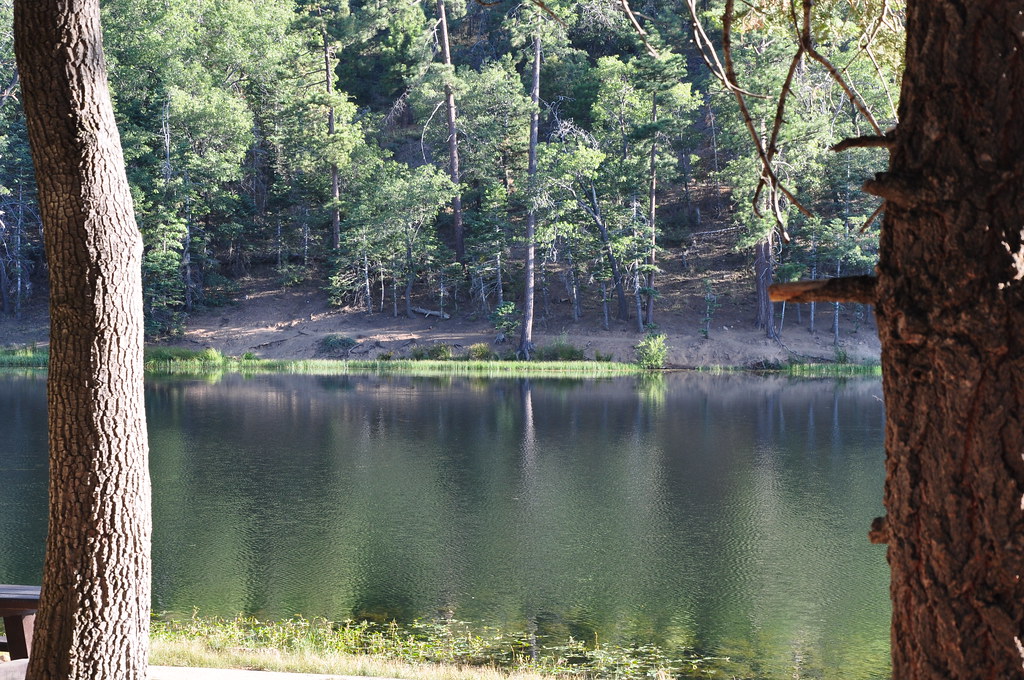 2011 08 21 Jenks Lake, Barton Flats, CA 071 Doug Carlson Flickr