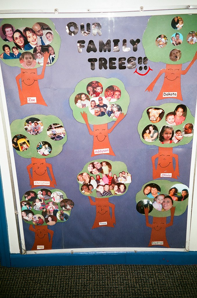 Family Tree Bulletin The family tree bulletin board is a g… Flickr
