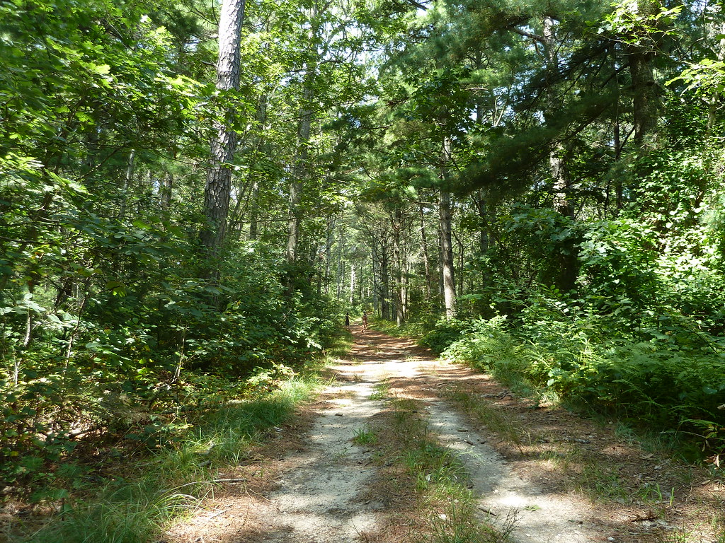 Trail around the Long pond maxim off Flickr