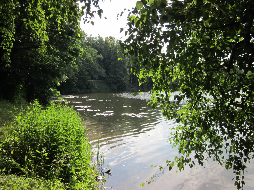 forest lake forest lake yamessi Flickr