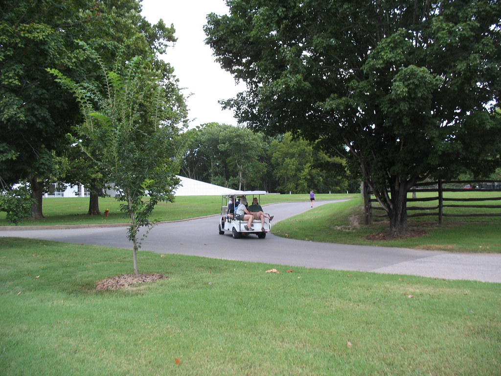Golf Cart in Motion New Harmony, Indiana. teofilo Flickr