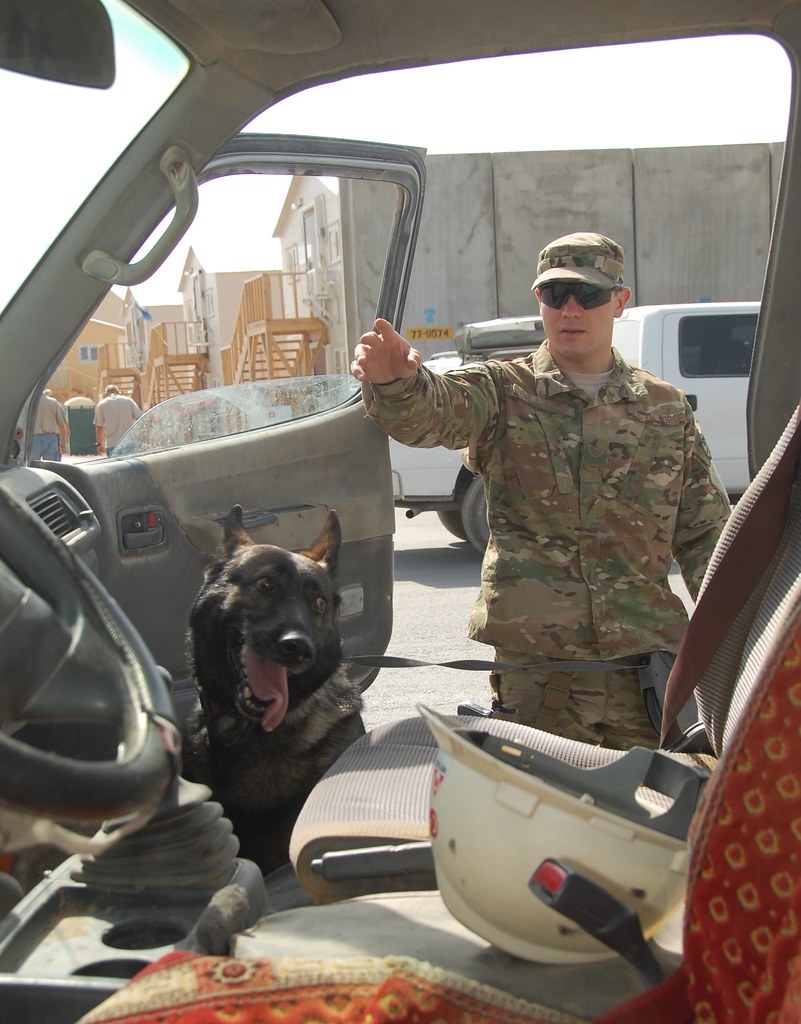 Military Working Dogs search vehicles at 401st AFSB August… Flickr