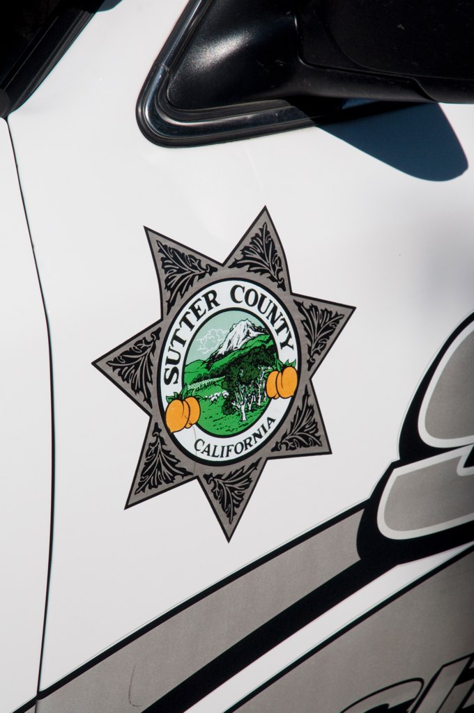 Live Oak Car Logo The logo on a Live Oak police car. Brian Imagawa